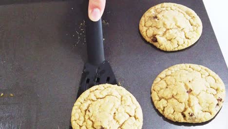 Video-of-chocolate-chip-cookies