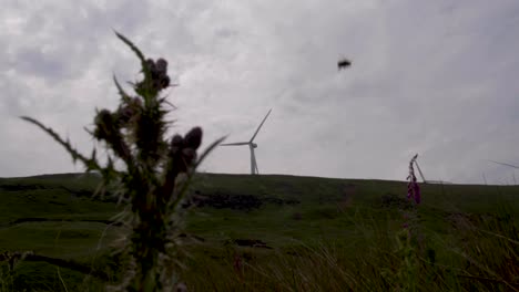 Windkraftanlagen-In-Den-Hügeln-Rund-Um-Den-Greenbooth-Stausee