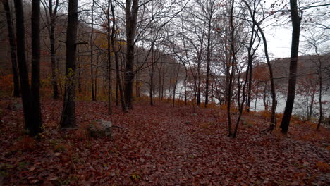 Schöner-Herbstbuchenwald-Unter-Dem-Regen-In-Den-Katalanischen-Bergen-4