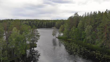 Aerial-view-of-lake-Nedre-Dammen-in-Gammelstilla,-Gästrikland,-Sweden-with-the-small-island-outside-Skoludden