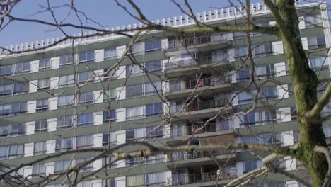 Cinematic-dolly-shot-of-a-high-rise-apartment-building-behind-a-tree-during-winter