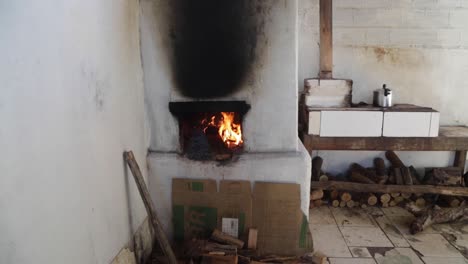 Food-cooking-in-a-wood-oven