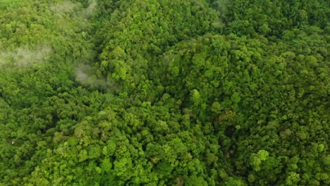 Imágenes-De-Drones-Volando-Sobre-La-Selva-Tropical-De-Borneo-En-Lo-Alto-Mirando-Hacia-Abajo-Con-Algunas-Nubes