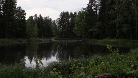 Fog-flowing-over-the-river-"Dalälven"-in-National-park-"Gysinge"-in-Gästrikland,-Sweden-during-a-summer-day