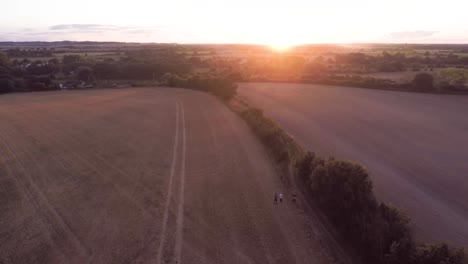 Flying-across-beautiful-rolling-fields-towards-a-stunning-orange-sunset