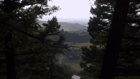 Foggy-view-of-the-country-between-two-pine-trees