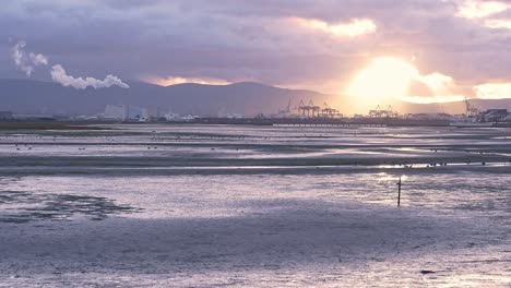 Silhouetted-against-a-powerful-beam-of-evening-sunlight,-the-cranes-of-Dublin's-industrial-dockland-area-frame-a-picturesque-view-of-Bull-Island-at-low-tide
