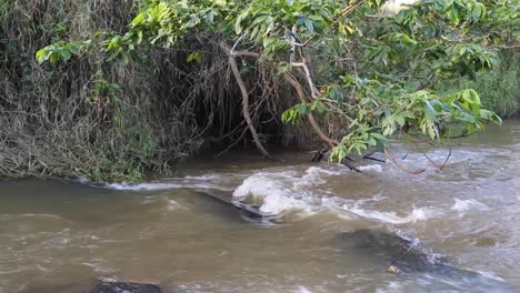 Polluted-river-in-Aguas-Formosas,-Minas-Gerais,-Brazil