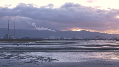 Under-a-dramatic-purple-and-orange-sky,-at-the-coast-of-North-Dublin,-birds-wade-in-shallow-water-as-the-tide-recedes