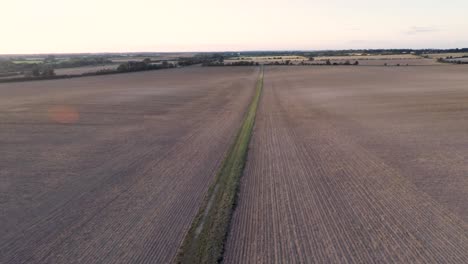Slowly-flying-low-across-harvested-fields