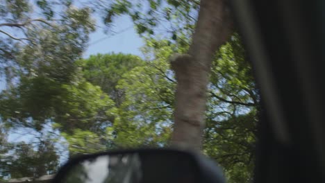 Aufnahme-Von-Häusern-Und-Bäumen-Durch-Autofenster