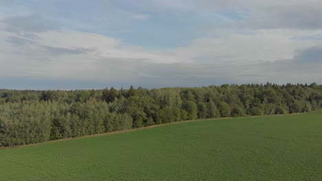 Fly-over-vast-forestry-and-empty-fields-6