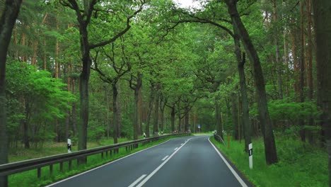 A-drive-through-the-tranquil-forest-in-Germany
