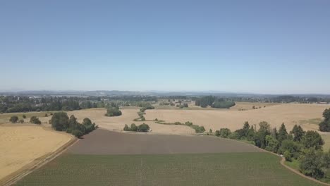 Industrial-Hemp-Field-farmed-in-rows-with-multiple-cultivars-and-strains-aerial-view-drone-4k-shot-in-August-2019-in-Oregon-3