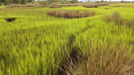 Low-flying-over-the-marsh-grass-at-Oak-Island-North-Carolina