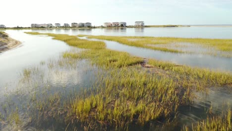 Flying-low-over-the-marsh-grass-at-Oak-Island-NC