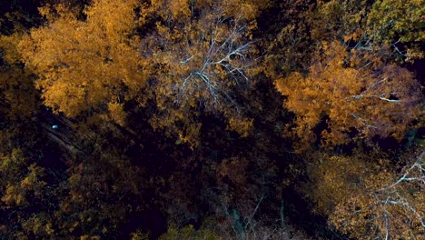 Drone-flyover-autumn-trees.-Mystic.-Many-colors
