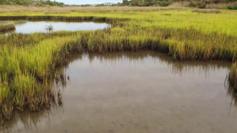 Tiefflug-über-Den-Sumpf-Bei-Oak-Island-North-Carolina