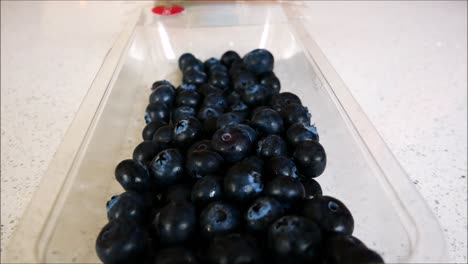 Blueberries-in-a-plastic-container-from-the-shop