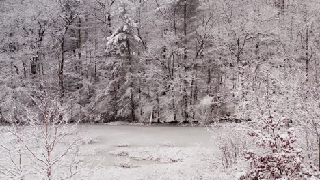 Peaceful-winter-wonderland-scene-entering-snow-covered-forest