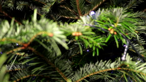 Tilt-down-from-top-of-Christmas-Tree-with-Slow-Zoom-into-branches-and-Needles,-Close-Up-with-LED-String-Lights