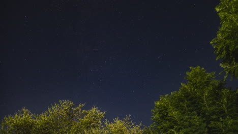 Night-Sky-timelapse-with-stars-moving-and-trees-in-the-foreground