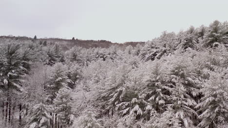 Antena-Baja-Y-Lenta-De-Un-Bosque-Cubierto-De-Nieve-Que-Revela-Un-Lago-Y-Montañas-En-Nueva-Inglaterra