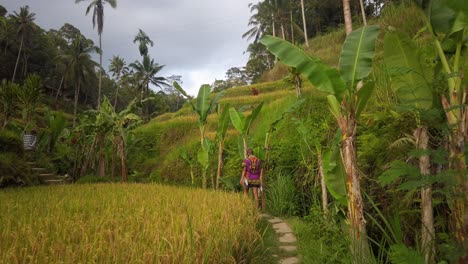 Man-walks-in-Tegalalang-Rice-Terraces-during-golden-hour-in-Ubud,-Bali,-Indonesia-1