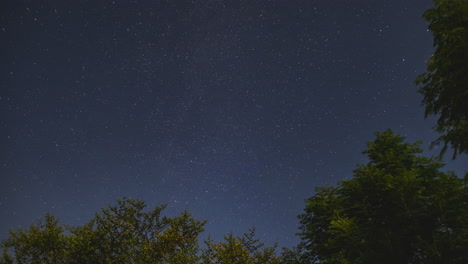 Starry-night-timelapse-with-trees-in-the-foreground