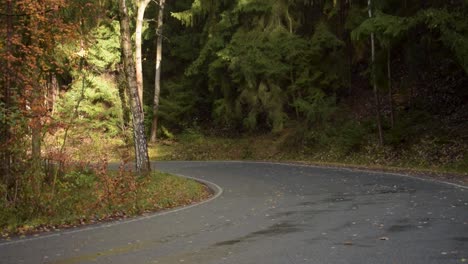 Curvy-road-through-a-autmn-forest-with-falling-leaves-and-bright-sunlight