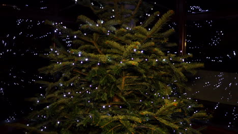 Static-Shot-of-Christmas-Tree-with-LED-String-Lights-Reflected-in-windows-on-both-sides,-Globe-Optical-Illusion
