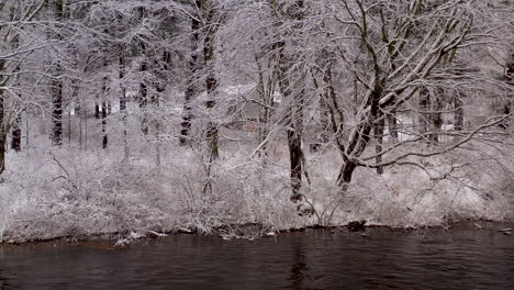 Winter-forest-covered-in-snow-with-calm-stream-flowing