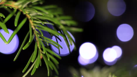 Ziehen-Sie-Den-Fokus-Vom-Hintergrund-Auf-Den-Genadelten-Zweig-Des-Weihnachtsbaums-Mit-Led-lichterketten-Im-Hintergrund-Bokeh