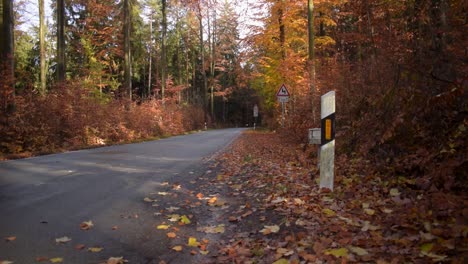 Straße-Durch-Einen-Herbstwald-Mit-Bunten-Blättern-Und-Goldenem-Sonnenlicht