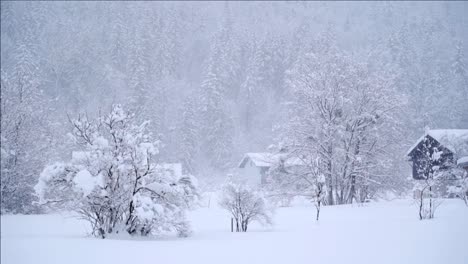 Winter-Im-Tiroler-Land