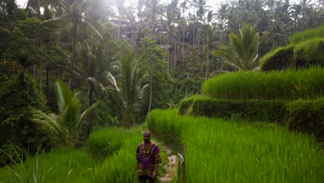 Man-walks-in-Tegalalang-Rice-Terraces-during-golden-hour-in-Ubud,-Bali,-Indonesia