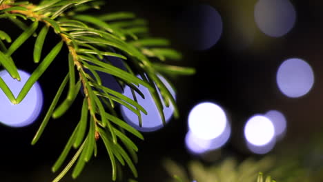 Christmas-Tree,-Needled-Branch-with-LED-String-Lights,-Bokeh-Background