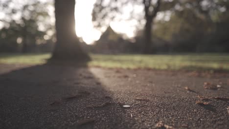 4K-timelapse-on-motion-slider-showing-a-coin-on-the-ground-in-a-park