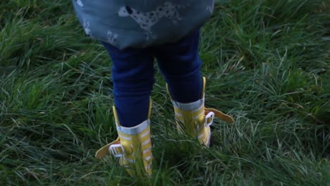 A-little-girl-walking-through-long-wet-grass-in-her-bright-yellow-polka-dot-wellies