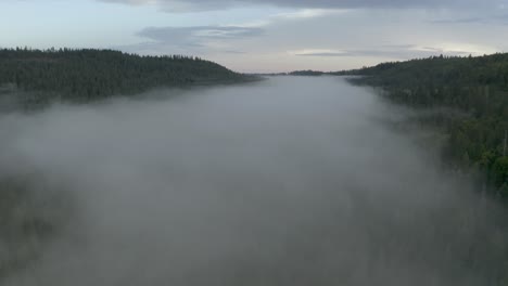 Fliegen-Des-Nebels,-Der-Den-Grünen-Wald-Auf-Dem-Berg-Bedeckt