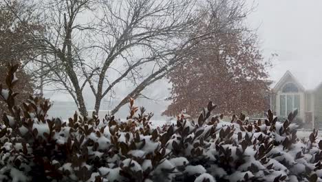 Nieve-En-Cámara-Lenta-Cayendo-Con-Un-Arbusto-Al-Frente-Y-Un-Vecindario-Al-Fondo