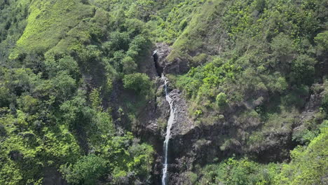 Small-waterfall-in-tree-covered-mountains---high-angle-view
