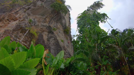 SLOW-MOTION-|-Rock-Climbers-on-a-cliff-face-in-the-distance-with-green-foliage-all-around