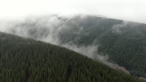 Drone-hyperlapse-of-low-hanging-clouds-in-forest