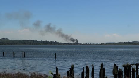Ducks-floating-in-water-as-Smoke-from-Fire-Practice-for-Camp-Rilea-on-Youngs-Bay-Oregon-looking-across-pylons-from-an-old-dock-as-the-smoke-blows-up-and-to-the-left