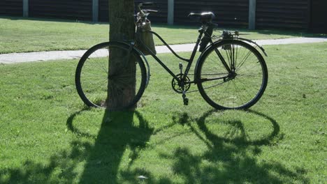 Vieja-Bicicleta-Oxidada-Apoyada-Contra-El-árbol