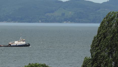 Tug-pulling-a-barge-of-salt-on-the-Columbia-River-in-June-with-Washington-state-in-background-from-the-shores-of-Oregon