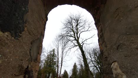 Bäume-Ohne-Blätter-Auf-Einem-Alten-Friedhof,-Der-Mit-Stein--Und-Ziegelmauerwerk-Eingezäunt-Ist