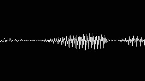 A-simple-black-and-white-audio-visualization-effect-41