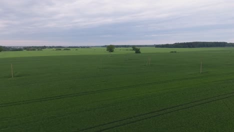 Strommastleitungen-In-Grünen-Landwirtschaftlichen-Feldern.-Luftspur-Rechts